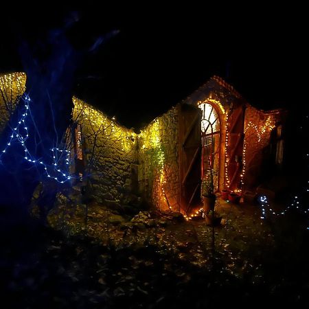 Gite Loustalneve Bourg-de-Visa Exteriör bild